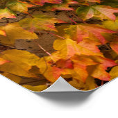 Poster Bâtiment couvert de lierre d'automne (Coin)