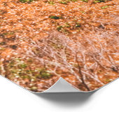 Poster BÂTIMENT EN BÉTON Brown ET BLANC SOUS LE CIEL BLEU (Coin)