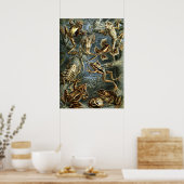 Poster Batrachia de crapauds vintages et grenouilles par  (Cuisine)