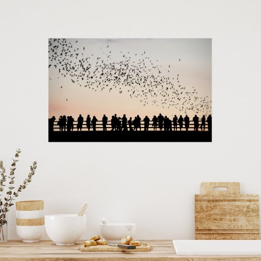 Poster Bats d'Austin - Austin, Texas (Cuisine)
