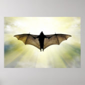 Poster batte (Devant)