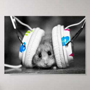 Poster Battements de Dr. Dre