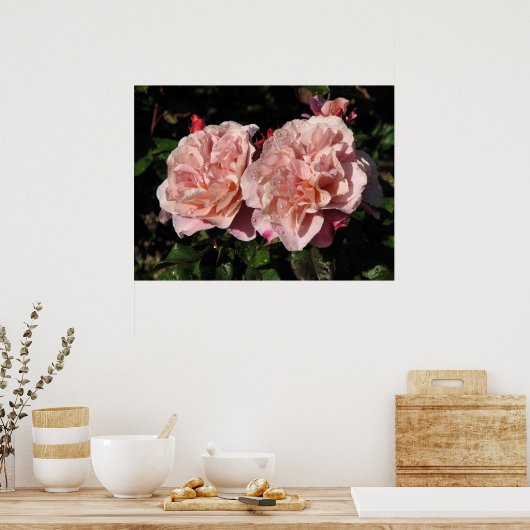 Poster Batterie distante Rose d'arbustes 142 (Cuisine)