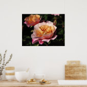 Poster Batterie distante Rose d'arbustes 143 (Cuisine)