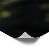 Poster Batterie distante Rose d'arbustes 143 (Coin)