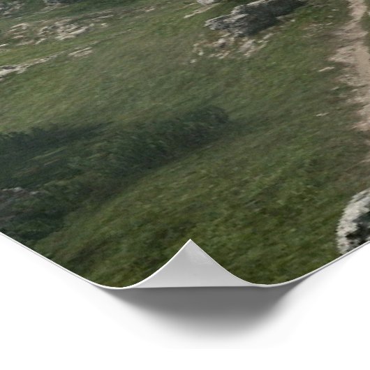 Poster Battlefield 1 (Coin)