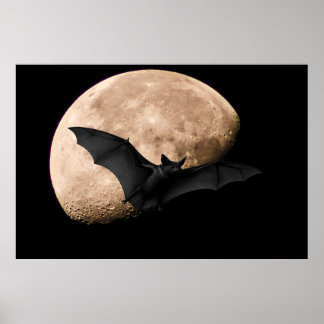 Poster Batty Moon