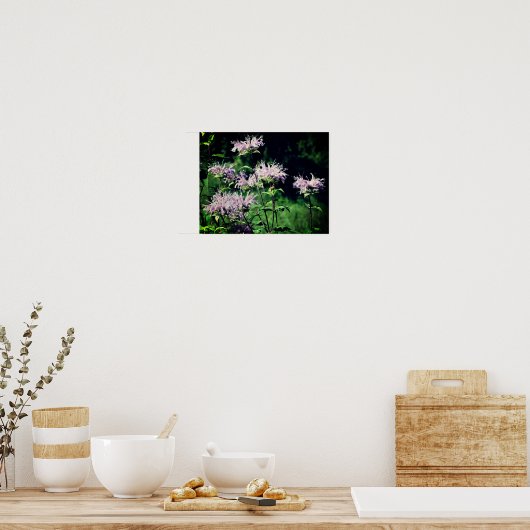 Poster Baume d'abeille violet sauvage (Cuisine)