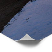 Poster Bayside - 3 (Coin)