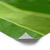 Poster bb fli 2 (Coin)