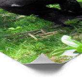 Poster Be Kind - Poster de citation Baby Gorilla (Coin)