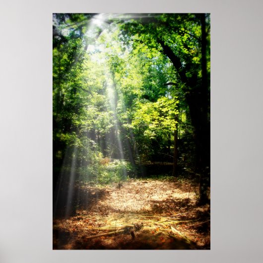 Poster Be Still (Poster du paysage forestier) (Devant)