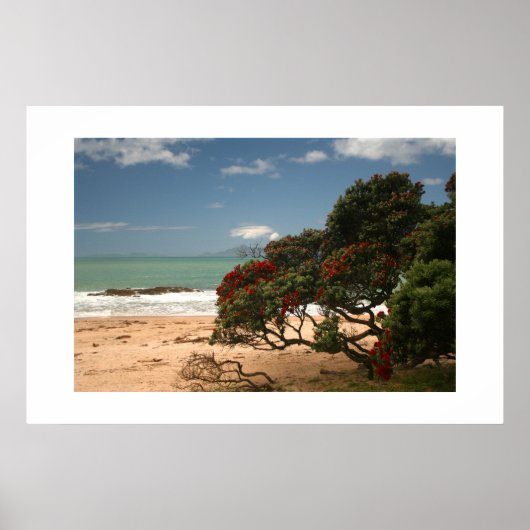 Poster Beach Bliss - Pohutukawa Tree (Devant)