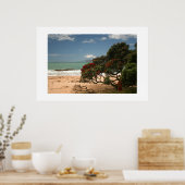 Poster Beach Bliss - Pohutukawa Tree (Cuisine)