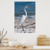 Poster Beach-bum Heron (Cuisine)