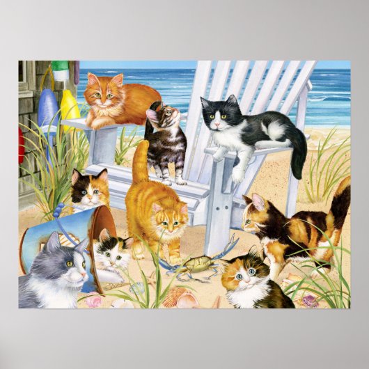 Poster Beach Bum Kittens (Devant)