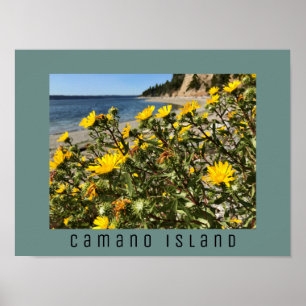 Poster Beach Camano Island Washington Photographie