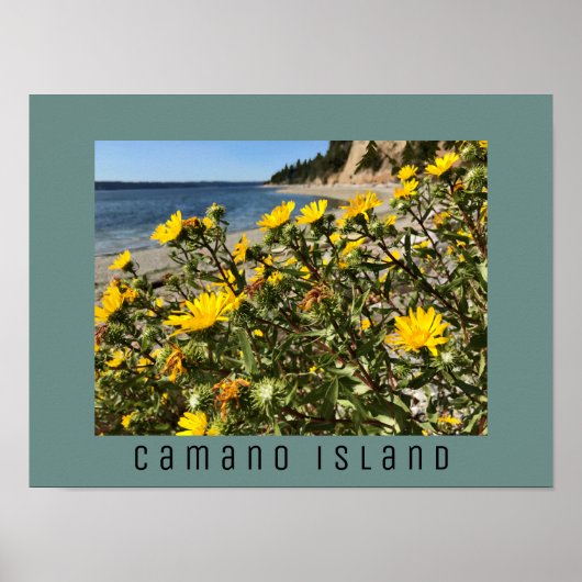 Poster Beach Camano Island Washington Photographie (Devant)