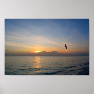 Poster Beach Ocean Sunset Photo 195