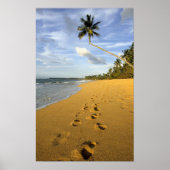 Poster Beach Porto Rico (Devant)