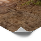 Poster Beach Poster: Love (Coin)