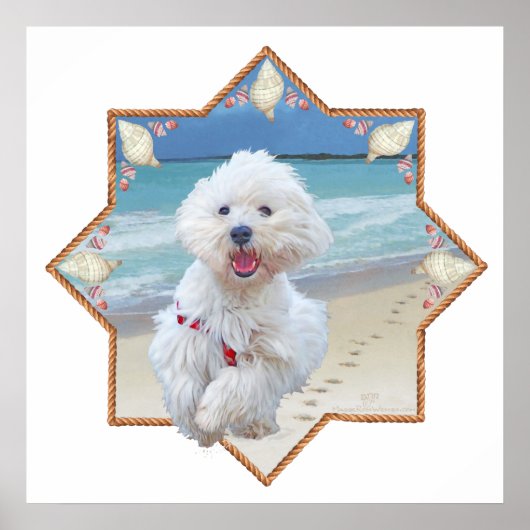 Poster Beach Run (Devant)