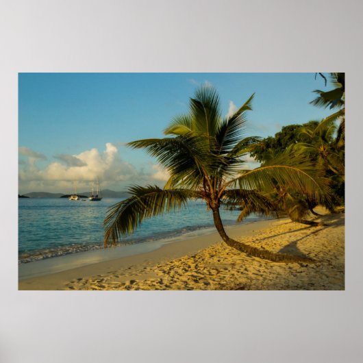 Poster Beach scenic (Devant)