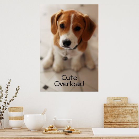 Poster Beagle (Cuisine)