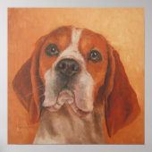 Poster beagle (Devant)