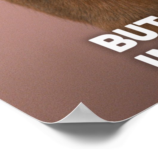 Poster Beagle (Coin)