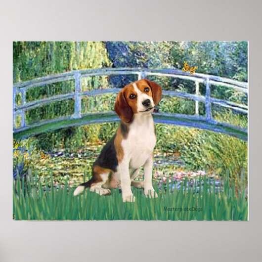 Poster Beagle1 - Pont de l'étang de nénuphars (Devant)