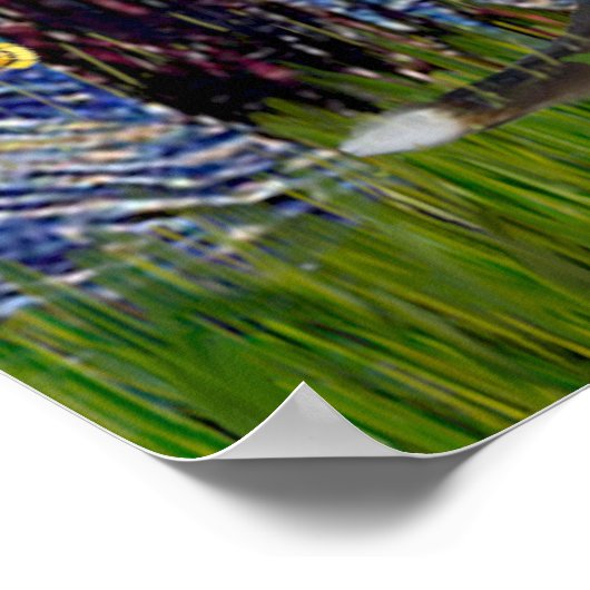 Poster Beagle 7 - Nuit étoilée (Coin)