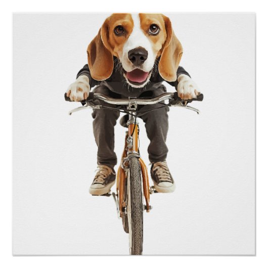 Poster Beagle Copie Copie Copie (Devant)