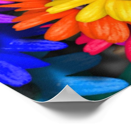 Poster Beagle en floraison (Coin)