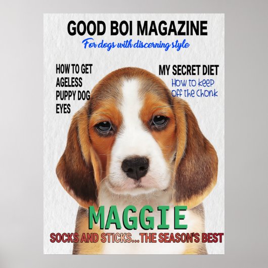 Poster Beagle Parody Magazine Cover (Devant)