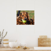 Poster Beagle Pup Leaf Sur Le Nez & Tennis Ball (Cuisine)
