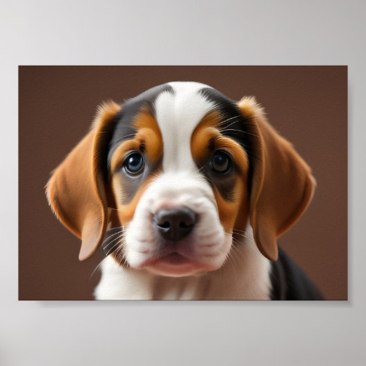 Poster Beagle Puppy (Devant)
