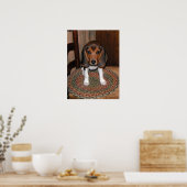 Poster beagle Puppy (Cuisine)