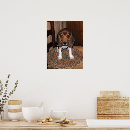 Poster beagle Puppy (Cuisine)