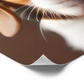 Poster Beagle Puppy (Coin)