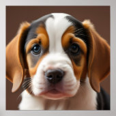 Poster Beagle Puppy (Devant)