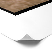 Poster beagle Puppy (Coin)