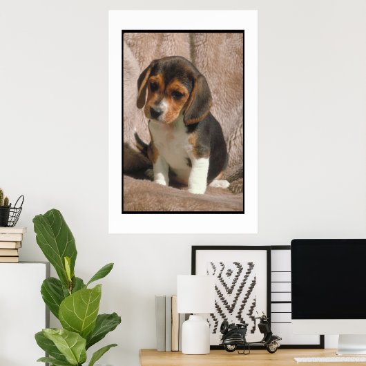 Poster beagle Puppy (Bureau à domicile)