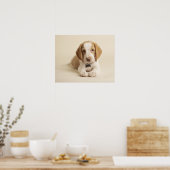 Poster Beagle Puppy (Cuisine)