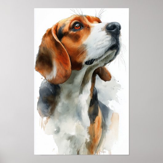 Poster Beagle watercolor portrait (Devant)