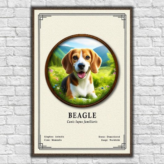 Poster Beagle Zoology Series