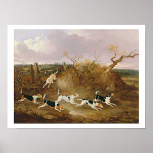 Poster Beagles en Plein Cry, 1845 (huile sur toile)