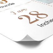 Poster Béaire à ours en peluche Première année Jalon (Coin)