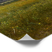 Poster Bear Butte, Dakota du Sud (Coin)