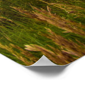 Poster Bear Butte, Dakota du Sud (Coin)